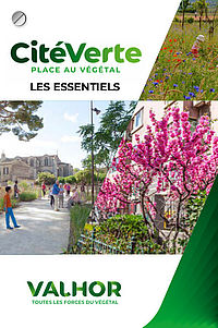 Les essentiels
